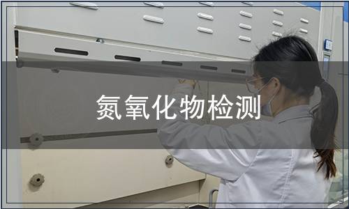 氮氧化物檢測