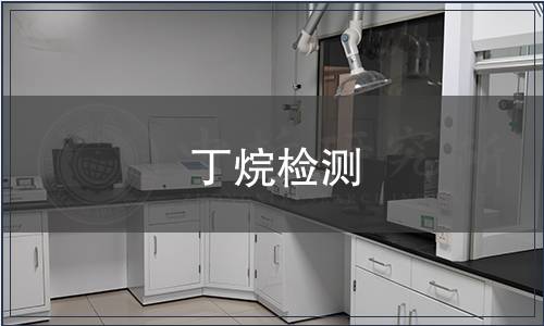 丁烷檢測