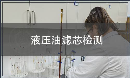 液壓油濾芯檢測