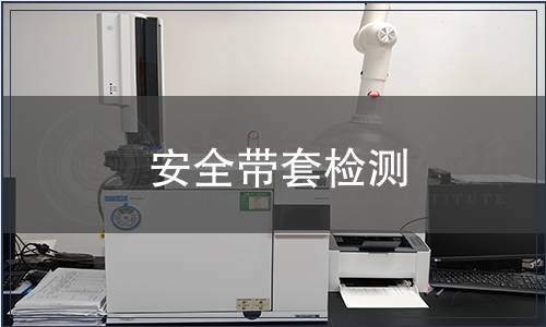 安全帶套檢測 安全帶套檢測