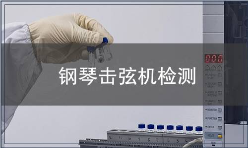鋼琴擊弦機(jī)檢測